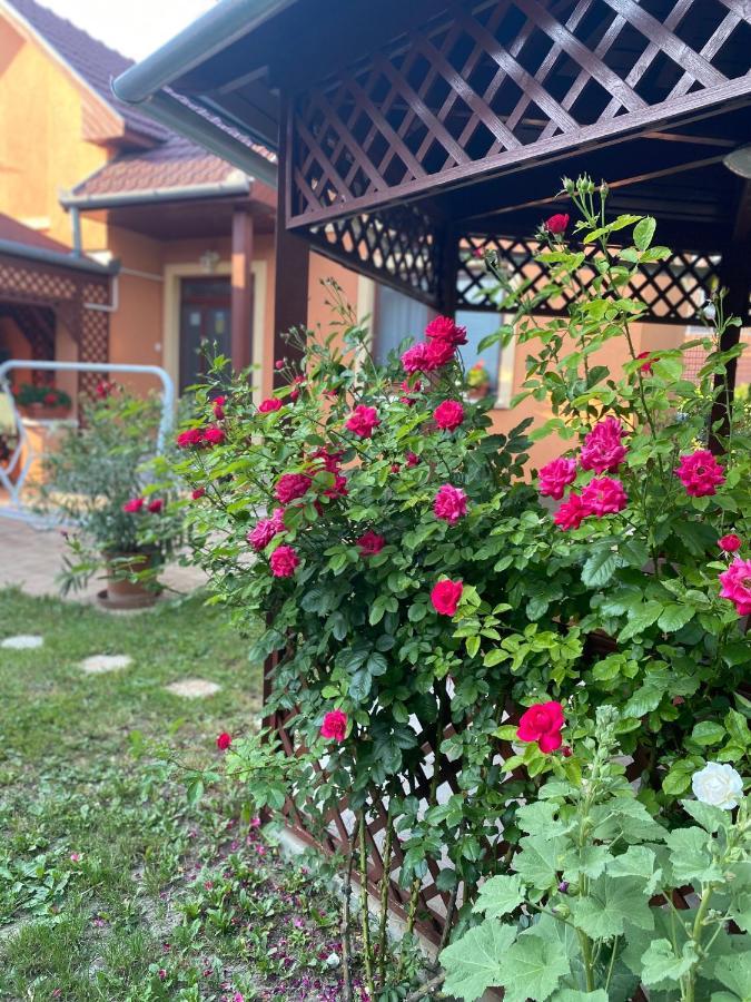 Apartman Dóra Hajduszoboszlo Exterior foto